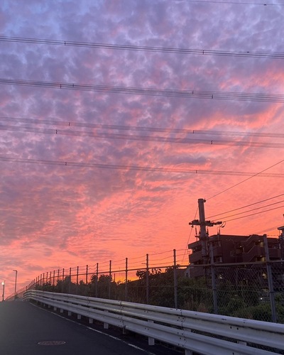 ひなこ