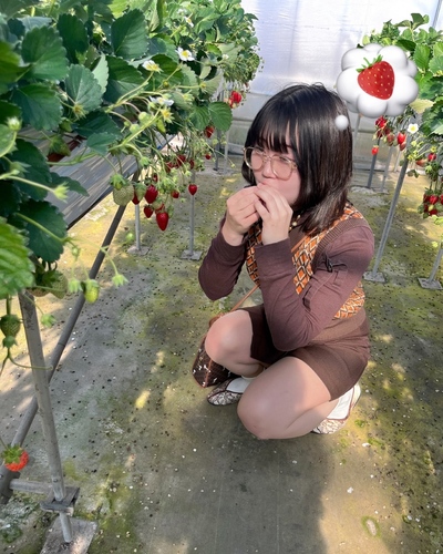 せん