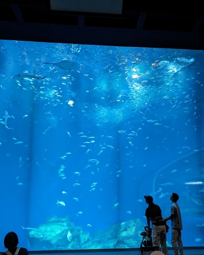はるか