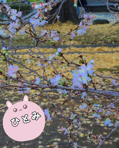 ひとみ