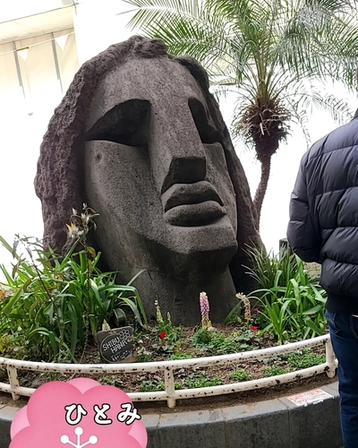 ひとみ