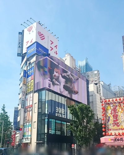 ひとみ
