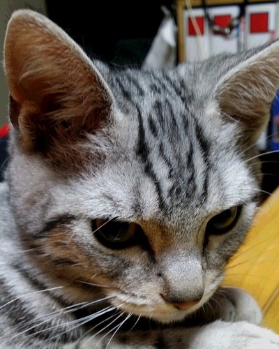 あやみ