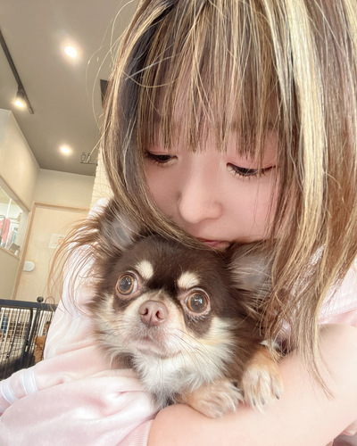 のぞみ
