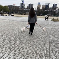 まゆ