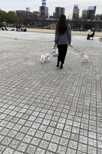 まゆ