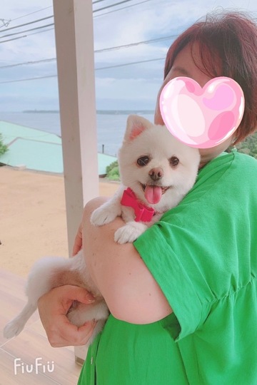 れい
