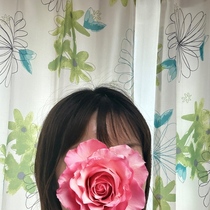 Top Image