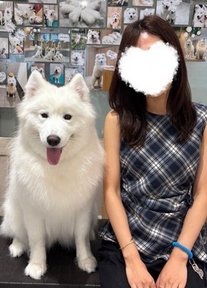 まな