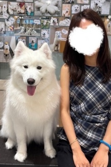 まな