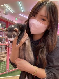 りほ