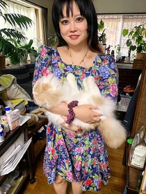 まゆ
