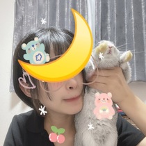 りんご